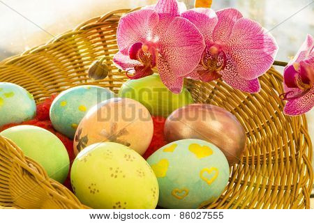 Easter eggs next to a pink Orchid