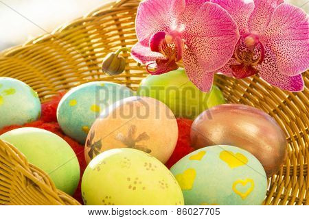 basket with Easter eggs and Orchid close