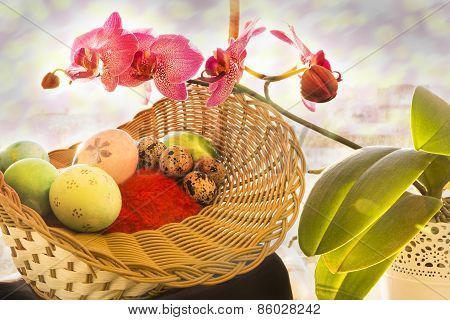 Easter and quail eggs in a wicker basket with Orchid, golden