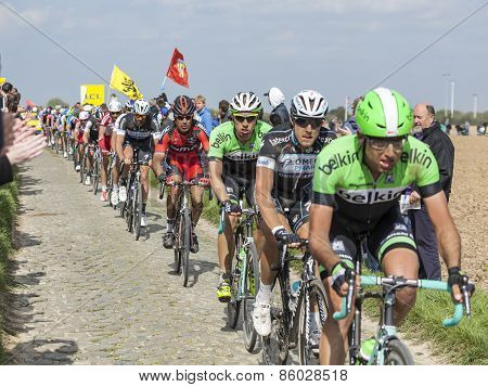 The Peloton- Paris Roubaix 2014