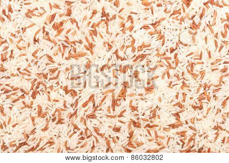 rice background