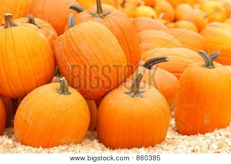Pumpkin18