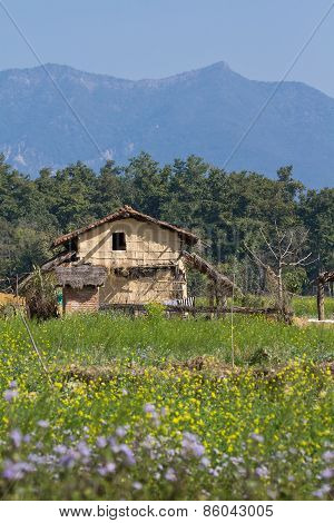 Traditional Taru House In Bardia, Nepal