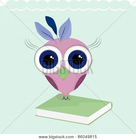 owl