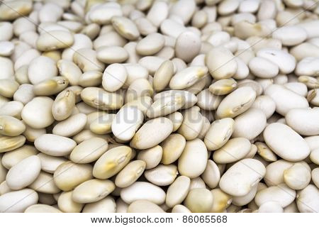 White Beans
