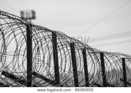 Barbed Tape