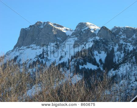 Swiss Guardian berg
