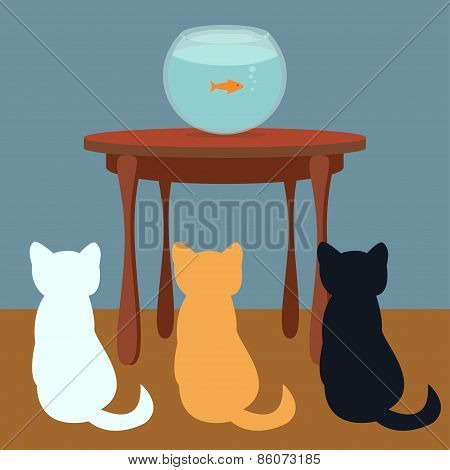 Cats & fish