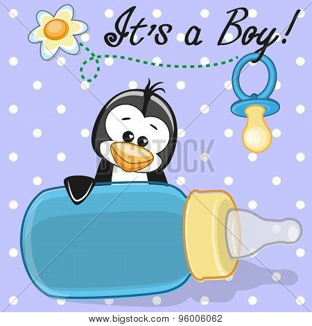 Penguin Boy