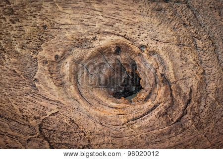 Knar And Old Wood Texture