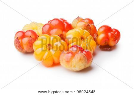 Cloudberry