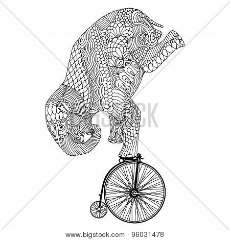 Elephant Driving Bike