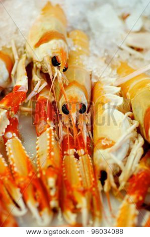 Langoustines