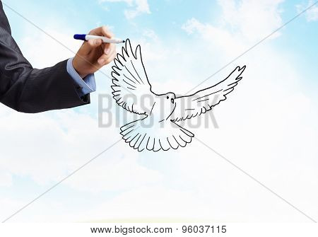 Close up of male hand darwing pigeon on white background