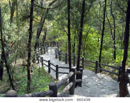 Park 