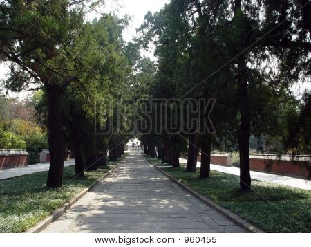Park 