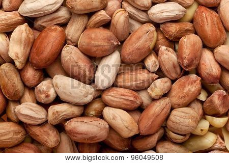 Deshelled Peanuts