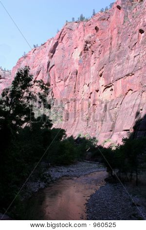 Zion River