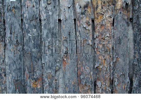 Timber Fence