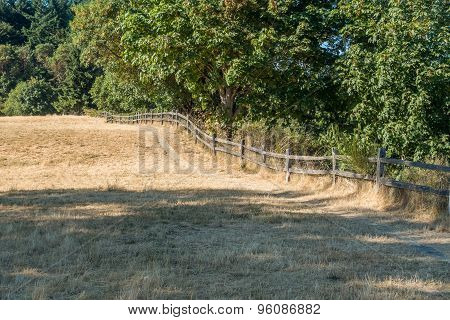 Fence And Trees