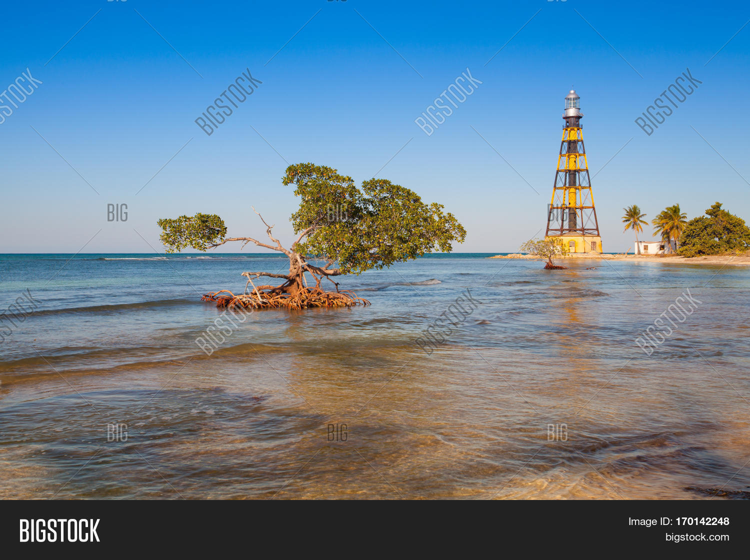 Light House Cuba Street at William Council blog