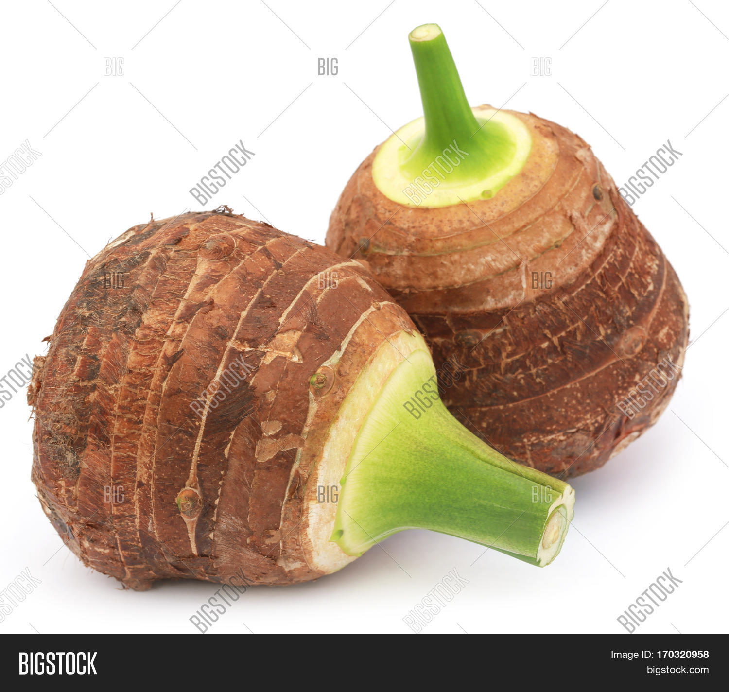 Edible Root Colocasia Image & Photo (Free Trial) Bigstock