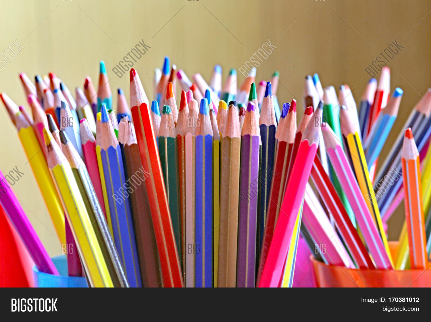 Many Pencils Image & Photo (Free Trial) Bigstock