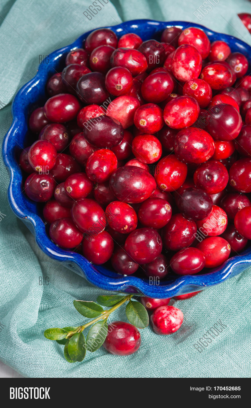 Red Cranberries Blue Image & Photo (Free Trial) Bigstock