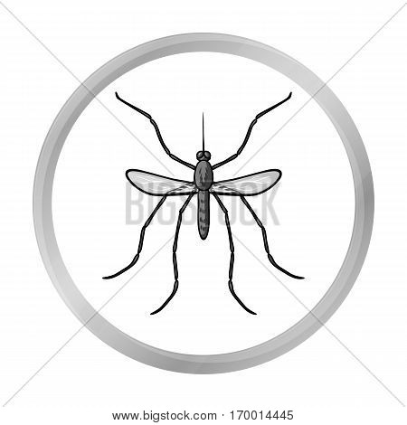 Mosquito icon in monochrome design isolated on white background. Insects symbol stock vector illustration.