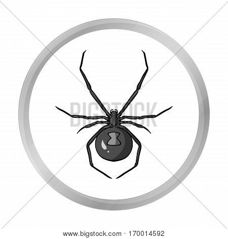 Black widow spider icon in monochrome design isolated on white background. Insects symbol stock vector illustration.