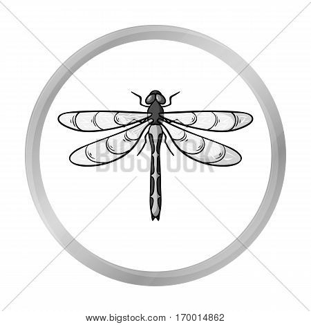Dragonfly icon in monochrome design isolated on white background. Insects symbol stock vector illustration.