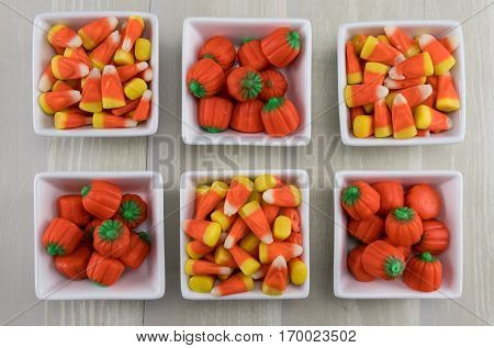 Six Square Bowls of Candy Corns and Pumpkins close up