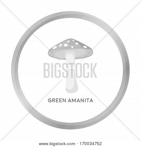Green amanita icon in monochrome style isolated on white background. Mushroom symbol vector illustration.