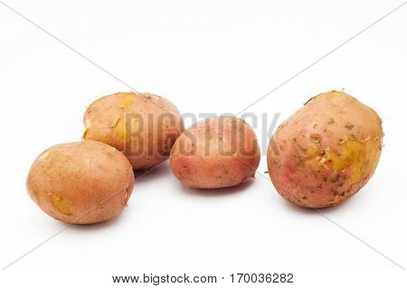 Kuroda potato varieties. Potatoes isolated on white background.