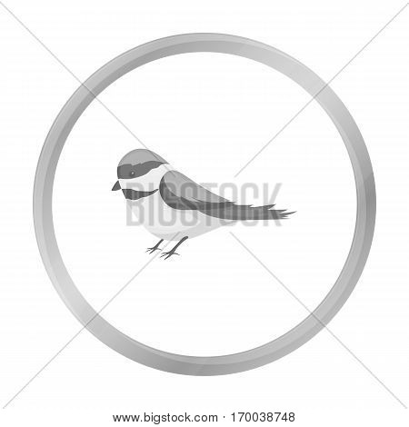Parus icon in monochrome style isolated on white background. Park symbol stock vector illustration.