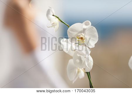 Orchid flower in front of the bride in a white dress close-up