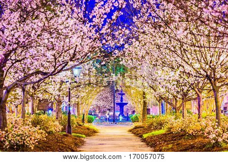 Macon, Georgia, USA in the spring.