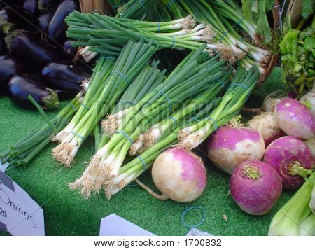Skörden Bounty