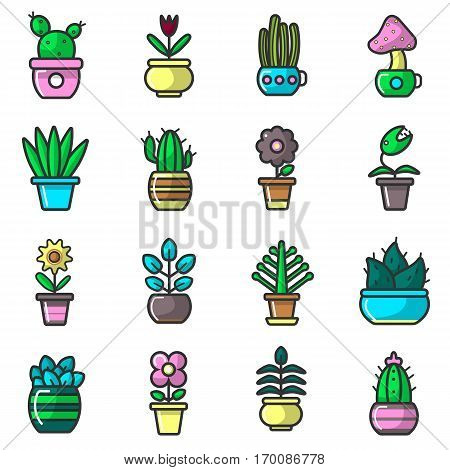 Plants and flowers in pots vector collection of sixteen elements on white. Vector poster of various types of cactus and blooming flowers with green stems and leaves that grow in houses on windows