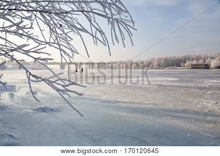 Winter landscape of frosty trees, white snow in city park. Trees covered with snow.Kiev, Ukraine, Dnepr River