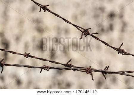 Close-up of corroded barbed wire on blurred old brick wall. International Day of Commemoration in Memory of the Victims of the Holocaust. Amnesty concept.