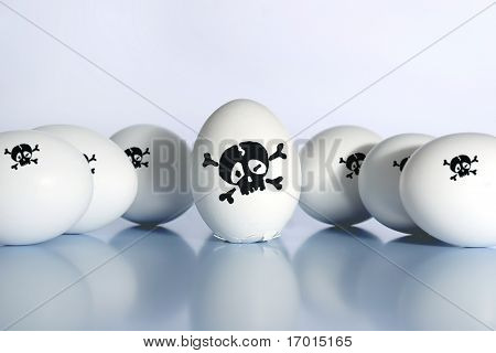 Fugleinfluenzavirus.H5N1