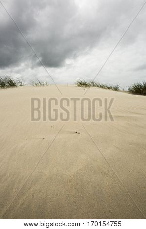 view on a sandy dune with cloudy dramatic sky