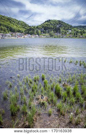 landscape of Jura mountain shore of Lac de Joux - Switzerland