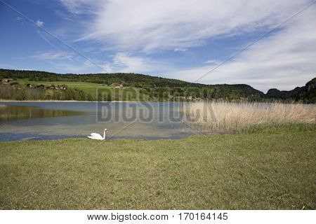 landscape of the Brenet Lake and Jura mountain Le Pont Switzerland