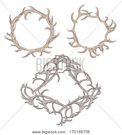 Set of different frame of deer antlers. Vector element for your design