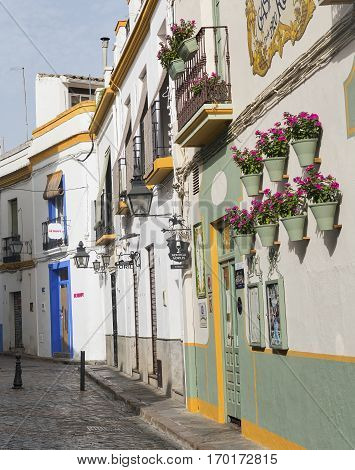 CORDOBA, SPAIN - JULY 19, 2016: Cordoba (Andalucia Spain): old typical street in the Juderia