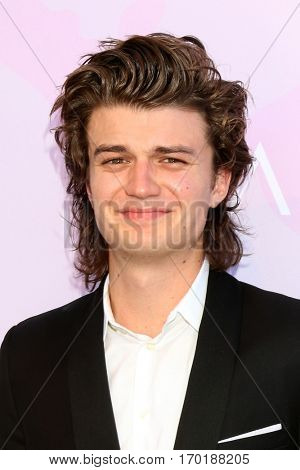 LOS ANGELES - JAN 28:  Joe Keery at the Variety's Celebratory Brunch Event For Awards Nominees at  Cecconi's on January 28, 2017 in West Hollywood, CA