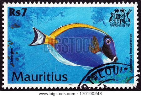 MAURITIUS - CIRCA 2000: a stamp printed in Mauritius shows Powder blue tang acanthurus leucosternon is a species of marine tropical fish circa 2000