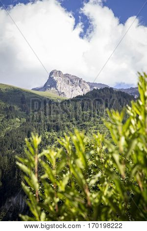 Bucolic green summer alpine landscape Swiss Alps mountain massif canton du Valais Switzerland